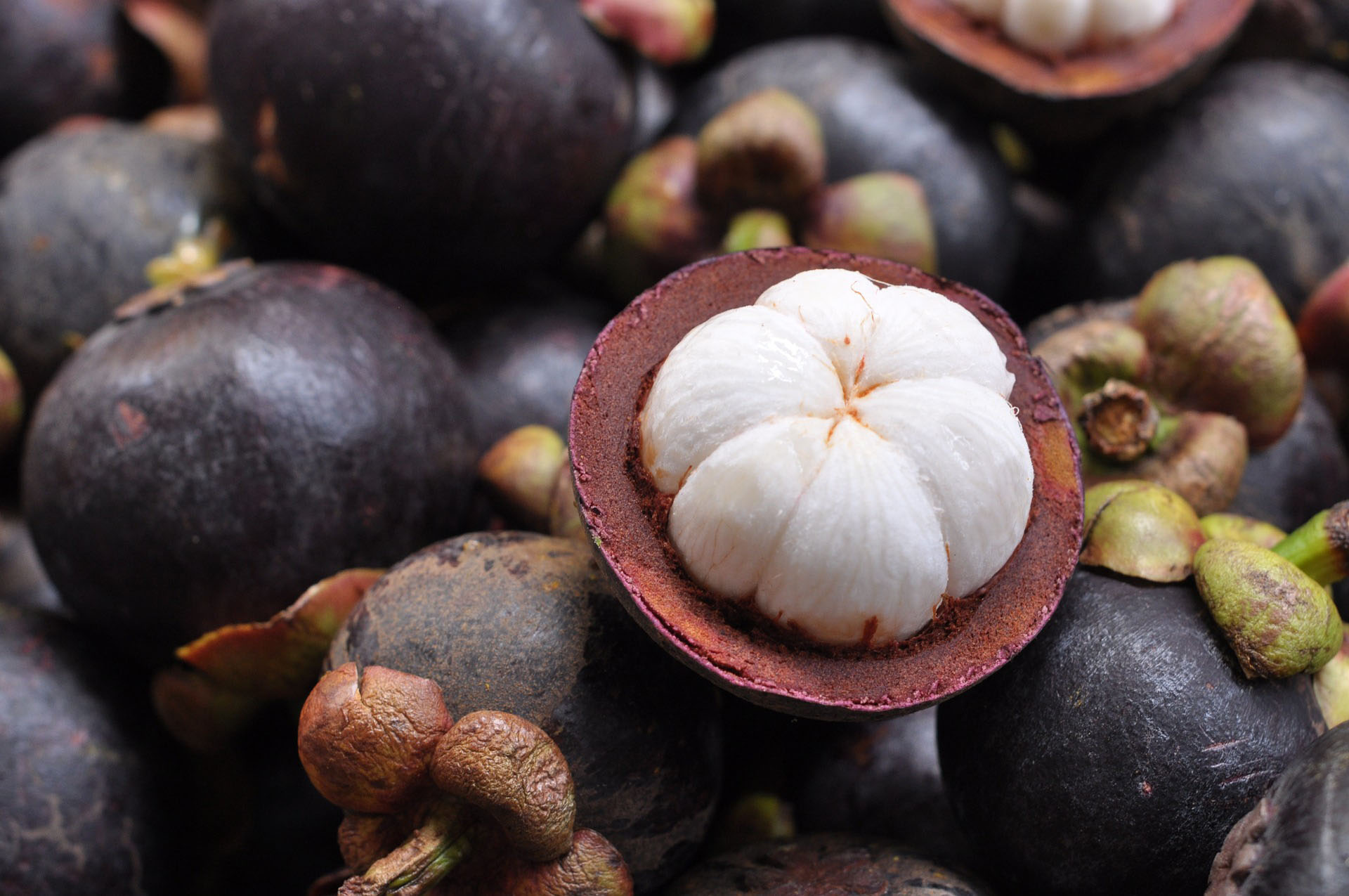 Mangoustan : la saveur subtile du roi des fruits - Malaisie
